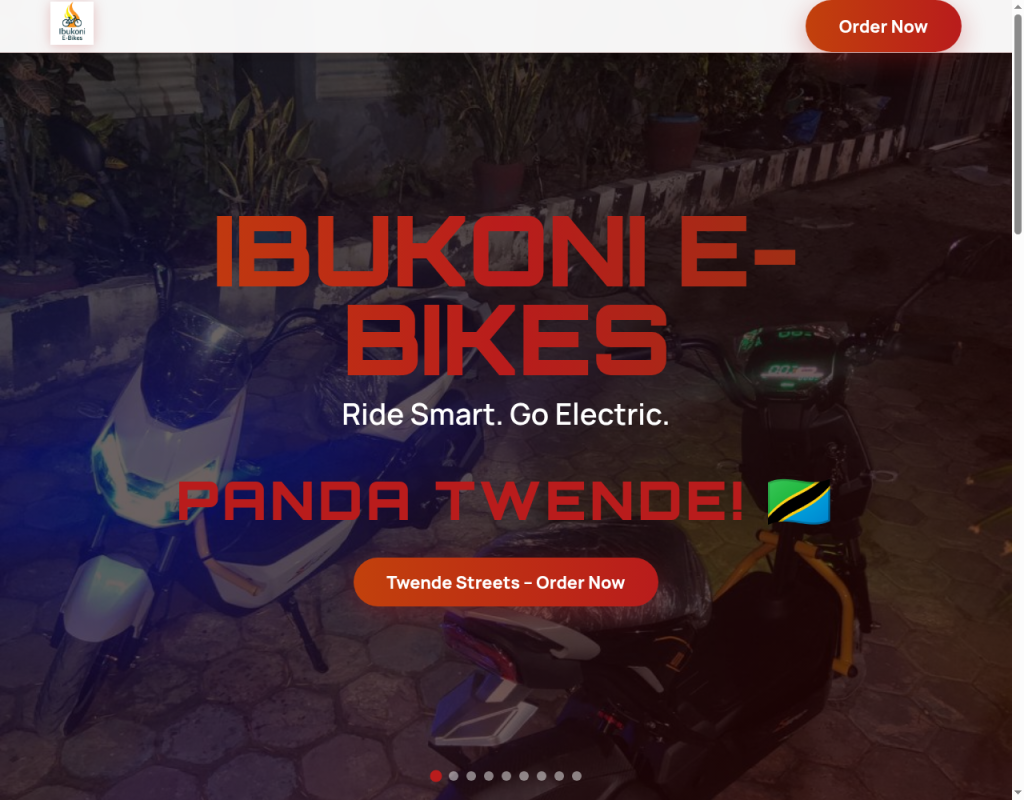 Ibukoni E-Bikes — Panda Twende product hero